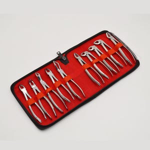 May include: A set of ten stainless steel dental extraction forceps arranged in a black zippered carrying case with a bright red interior lining. Each tool is secured in place by an orange elastic band, featuring textured handles.