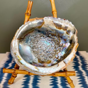Vintage Abalone Shell- Large Iridescent Natural Seashell- Coastal Boho Decor Bowl- Beach House Display Accent- Meditation Incense Holder