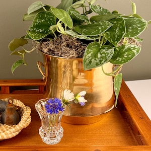 May include: A shiny brass planter with two side handles containing a trailing plant with heart-shaped green leaves and silver variegation. Next to it sits a small clear glass vase with a scalloped rim holding two small blue and white flowers.