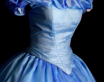 Cinderella 2015 Custom Costume