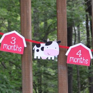 Farm 1st Year Photo Banner 1st Birthday Barnyard Farm Animal Barnyard Bash Decoration 12 month Milestones Picture Banner Customize Animals image 1