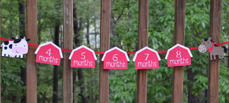 Farm 1st Year Photo Banner 1st Birthday Barnyard Farm Animal Barnyard Bash Decoration 12 month Milestones Picture Banner Customize Animals image 3