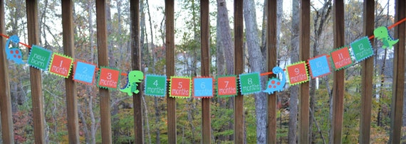 Dinosaur First Year Photo Banner Boy 1st Birthday T Rex 12 month Milestones Picture Banner Orange Blue & Green Dinomite Party Decoration Il_570xn