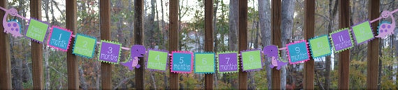 Pink Dinosaur First Year Photo Banner Girl 1st Birthday T Rex 12 month Picture Banner Dinomite Party Decoration Purple Teal Hot Pink & Green Il_570xn