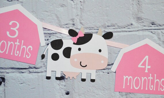 Cow First Year Photo Banner w/ Adjustable Panels for Girl Farm 1st Birthday Barnyard 12 month Milestones Picture Banner Holy Cow Party Decor Il_570xn