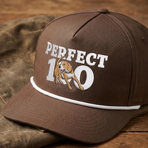 May include: A brown baseball cap featuring an embroidered white graphic of a dog and the text PERFECT 100. The cap has a white cord trim across the base of the crown and a structured front panel with a button on top and stitched brim detailing.