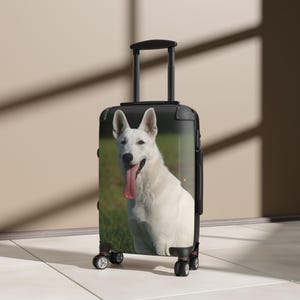 Hondenliefhebberkoffer met een gigantische witte Duitse herder die slordig op het gras zit en zijn tong uitsteekt