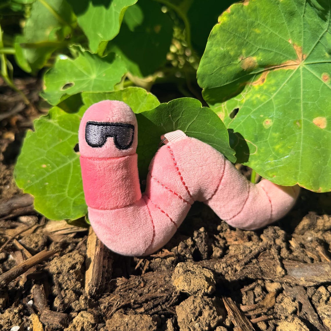 Earthworm Plush Bag Charm – Pocket Crawlers Earthworm Stuffed Animal ...