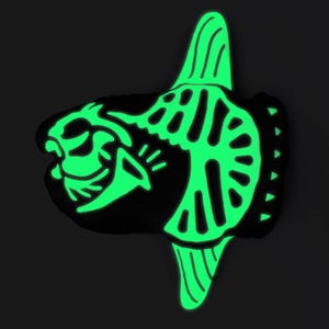 Reversible Glow in Dark Mola Sunfish Skeleton Plushie | 13.5" AquaGlows Stuffed Animal image 3