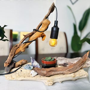 May include: A unique driftwood lamp with a black bulb holder and a warm, glowing bulb. The lamp is supported by a natural wood branch, with a small succulent plant and decorative stones at the base. The lamp is a decorative home decor item.