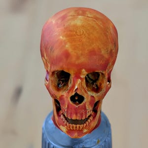 Human Skull Swatch Cap - Paint Bottle Topper