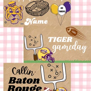 LSU/College team gameday painted, custome banners!