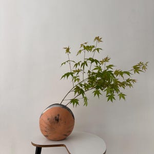Peut inclure: Un vase sphérique en terre cuite avec une bande sombre en haut, contenant une branche avec des feuilles vertes. Le vase est posé sur une table blanche semi-circulaire avec des pieds noirs. Le fond est un mur blanc uni.