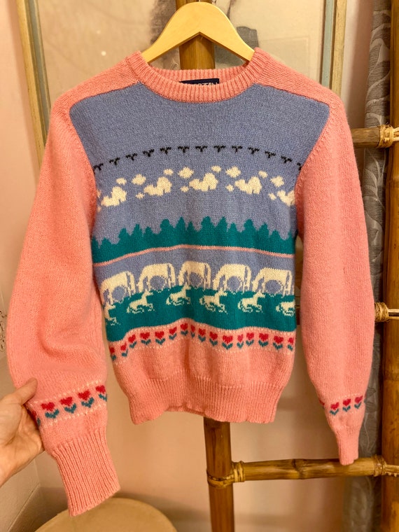 1980s Wool Pink + Blue Novelty Sweater