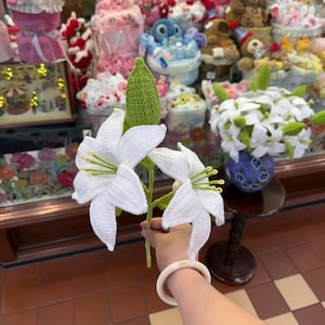 May include: A close-up of a handmade crochet lily flower with white petals and green accents. The flower is held in front of a display of other handmade items, including cakes and stuffed animals.