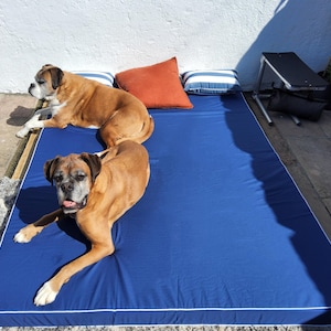 May include: Two Boxer dogs lounging on a large, navy blue dog bed with white piping. The bed is rectangular and has a thick, cushioned appearance. Two striped pillows and an orange pillow are placed on the bed. The dogs are brown with white markings.