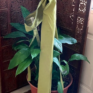 May include: A green fabric yoga mat rolled up and tied with a brown strap, leaning against a wooden screen with intricate carvings. The mat is sitting in a terracotta pot with a green plant.