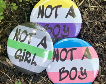 May include: Three round buttons with the phrases "NOT A BOY" and "NOT A GIRL" in black text. The buttons feature the colors of the non-binary, asexual, and transgender pride flags. The buttons are set against a background of mulch and green plants.