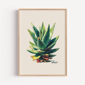 Aloe Vera Botanical Print – Minimalist Green Succulent Wall Art – Digital Download in 5 Different Sizes
