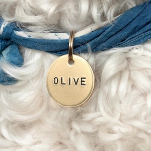 Placa de identificação personalizada de latão redonda de 1&quot; - Placa de identificação personalizada para animais de estimação