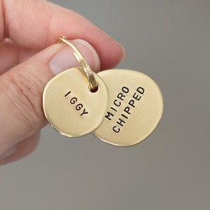 May include: Gold-toned metal dog tag keychain with two round tags. The larger tag says "MICRO CHIPPED" and the smaller tag says "IGGY".