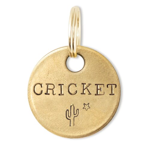 WOODY Hand Stamped Personalized Custom Pet ID Tags for Dogs Etsy