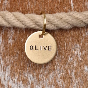 以下が含まれることがあります： 「OLIVE」と刻まれた金色の金属製の犬用タグ。タグは厚手のベージュのロープに付けられています。