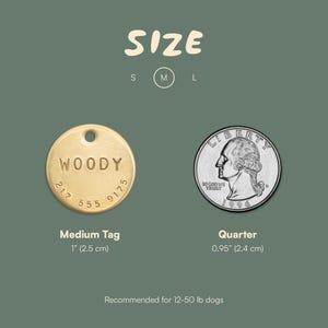 Peut inclure: Comparaison de deux tailles de m&eacute;dailles pour chien&nbsp;: une m&eacute;daille moyenne grav&eacute;e du nom &laquo;&nbsp;WOODY&nbsp;&raquo;, mesurant 1&nbsp;pouce (2,5&nbsp;cm) de diam&egrave;tre, et une pi&egrave;ce de 25&nbsp;cents am&eacute;ricaine pour r&eacute;f&eacute;rence de taille, mesurant 0,95&nbsp;pouce (2,4&nbsp;cm) de diam&egrave;tre. Recommand&eacute; pour les chiens pesant entre 12 et 50&nbsp;livres.