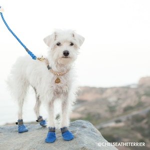 BLUE LEASH: Rope Pet Leash for Cats and Dogs with Brass Metal Hardware