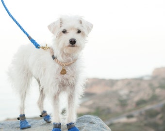 BLUE LEASH: Rope Pet Leash for Cats and Dogs with Brass Metal Hardware