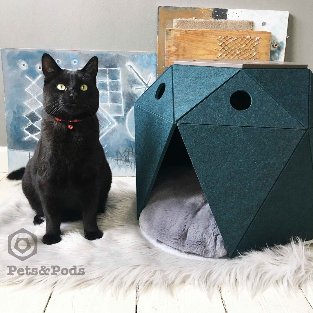 Cool Cat Cube Designer Cat House Modern Pet Cat Houses Dog Houses