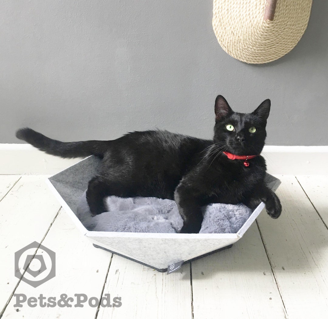 Cool Cat Beds Cool Dog Beds Designer Cat Bed Modern Pet Bed Modern Cat