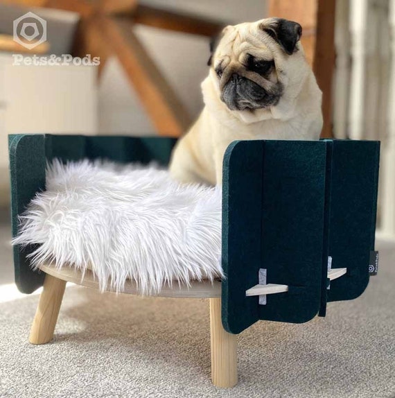 designer cat beds