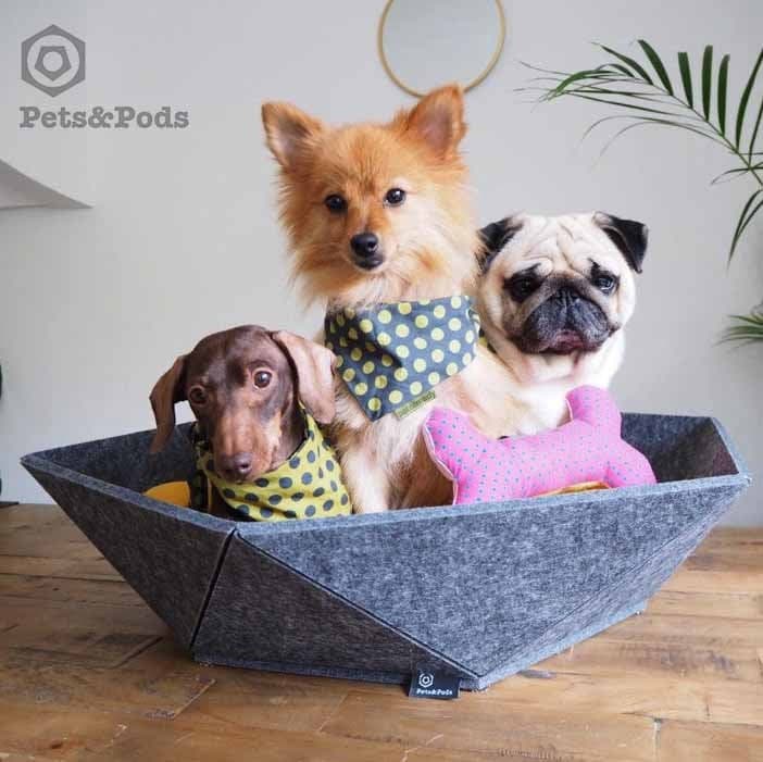 modern pet bed