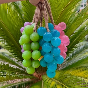 Grape Vine Soap | Soap on a Rope | Soap Bundle | Hanging Soap | Gift for her|  Handmade Organic Aloe Vera Soap Base | Natural Especial Oil