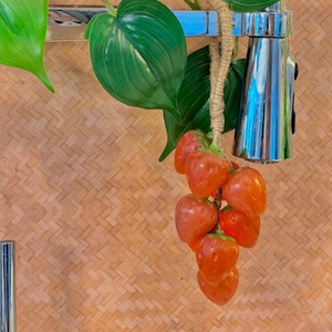 Strawberry Hanging Soap | Soap on a Rope | Fruit-Inspired Soap | Hanging Soap|  Handmade with Organic Aloe Vera Base| Natural Esstianl Oils