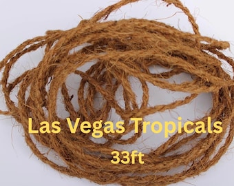 Organic Coconut Coir Fiber Rope: 33 ft Braided Twine, 4mm Thickness.