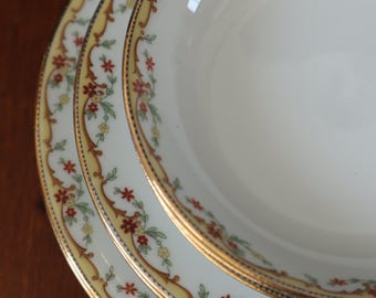 Antique Limoges Vignaud The Meuse Fine Porcelain Dinnerware