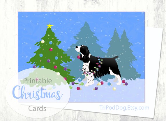 SPRINGER SPANIEL CHRISTMAS or BIRTHDAY CARD Personalised /& illustrated in /& out