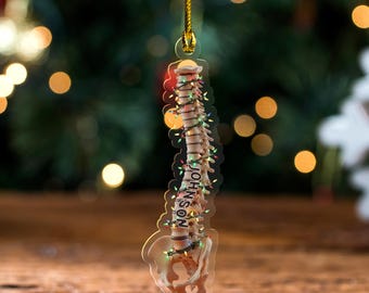 Anatomical Spine Christmas Ornament – Vertebrae & Pelvis Tree Decor, Chiropractor Physical Therapy Gift JCRD07
