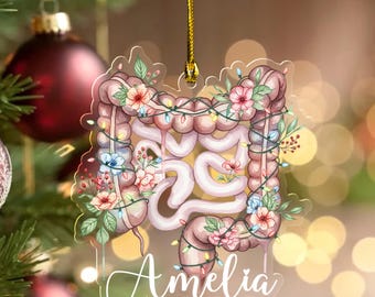 Intestine Anatomy Christmas Ornament Set, Anatomical Heart, Mental Health, Medical Student, Nurse Halloween JCRQ14