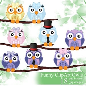 Eule digitale Clipart, Eulen Clip Art Set, Eule Digitaldruck, digitaler Clip Eule, Eule Illustration, Eulendekoration für Babyparty,