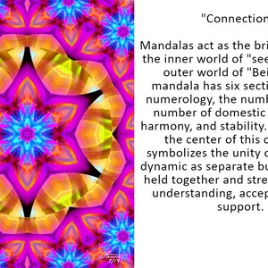 Waterproof Shower Curtain, Mandala Art, Bright Flower Pattern Connections image 2