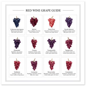 Puede incluir: Una guía de uvas de vino tinto, con ilustraciones de diferentes tipos de uvas. Cada variedad de uva está etiquetada con su nombre y notas de cata, como Cabernet Sauvignon y Merlot.