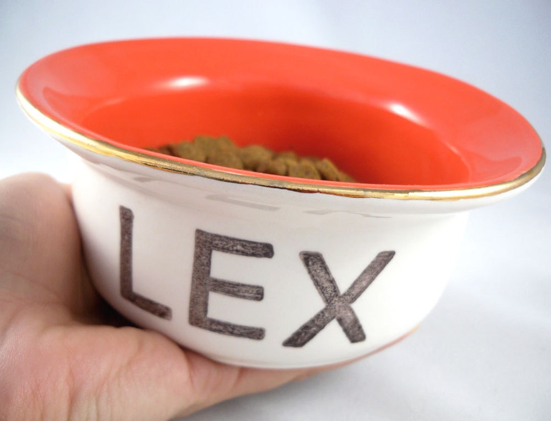 DOG BOWL CERAMIC Allergy Free No Metal Cat Bowl Ceramic Heavy Etsy