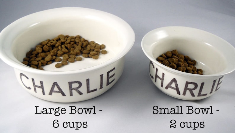 personalized cat food bowls