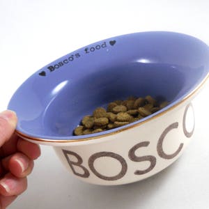 Custom Dog Bowls Spill Proof Dog Water Dish Small Dog Food Dish Ceramic