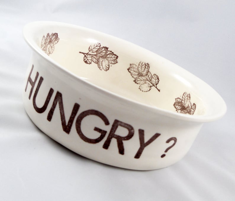 May include: White ceramic bowl with brown leaf designs and the text "HUNGRY?" printed on the side.