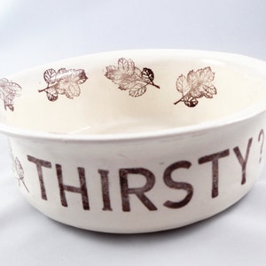 May include: White ceramic bowl with a brown leaf design around the rim and the word "THIRSTY?" printed in brown on the front.