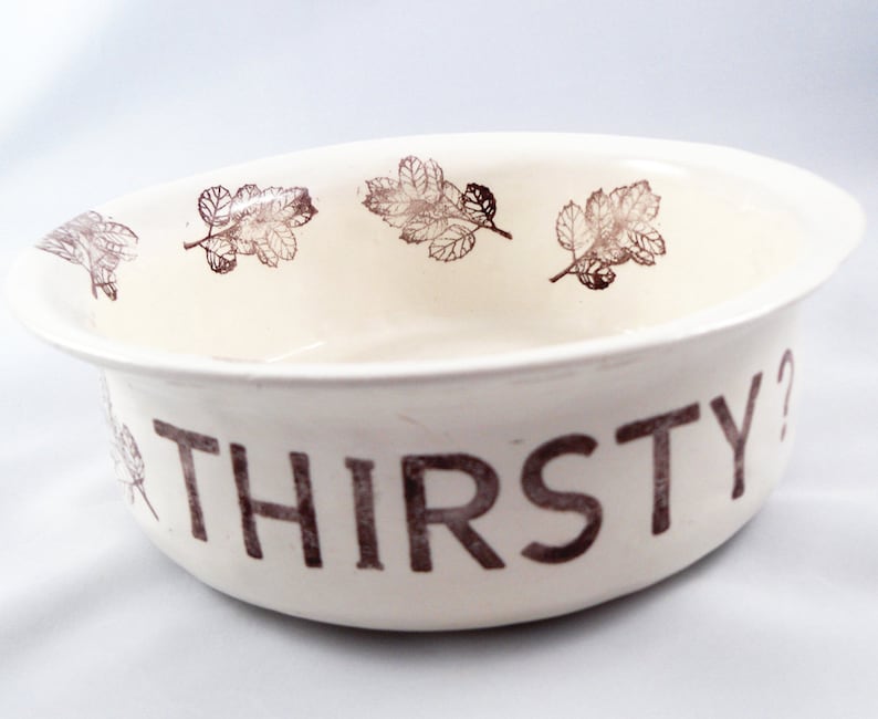 May include: White ceramic bowl with a brown leaf design around the rim and the word "THIRSTY?" printed in brown on the front.